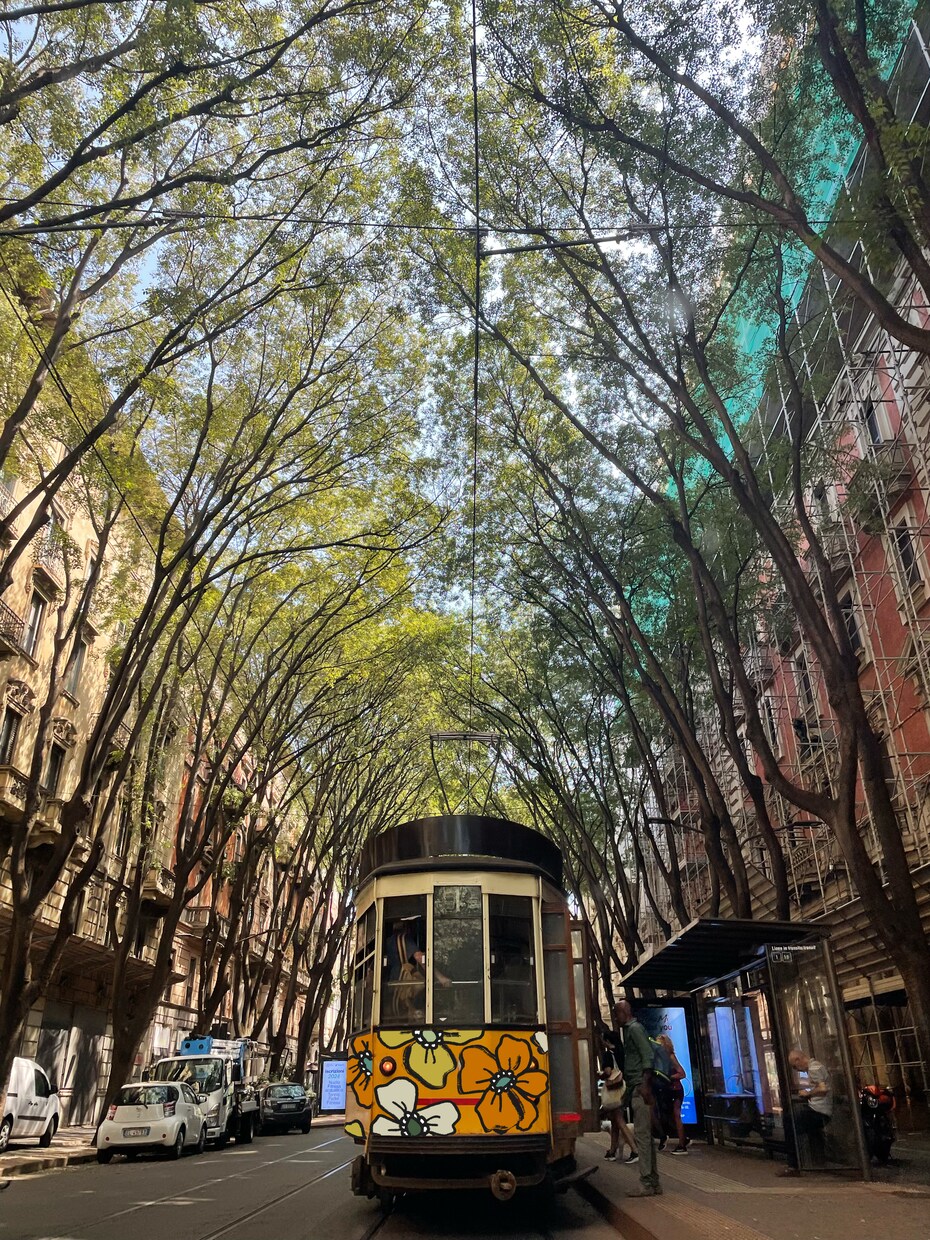 あなたの写真に“花”を咲かせます 見た景色、感じた想い、そのすべてを一枚に イメージ7