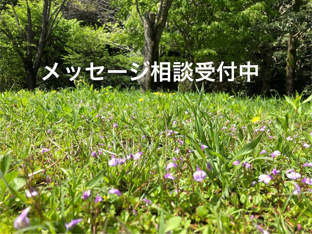 仕事や人間関係で悩んでませんか？相談に乗ります 悩みをカウンセラーに打ち明けることで、心を軽くしましょう イメージ1