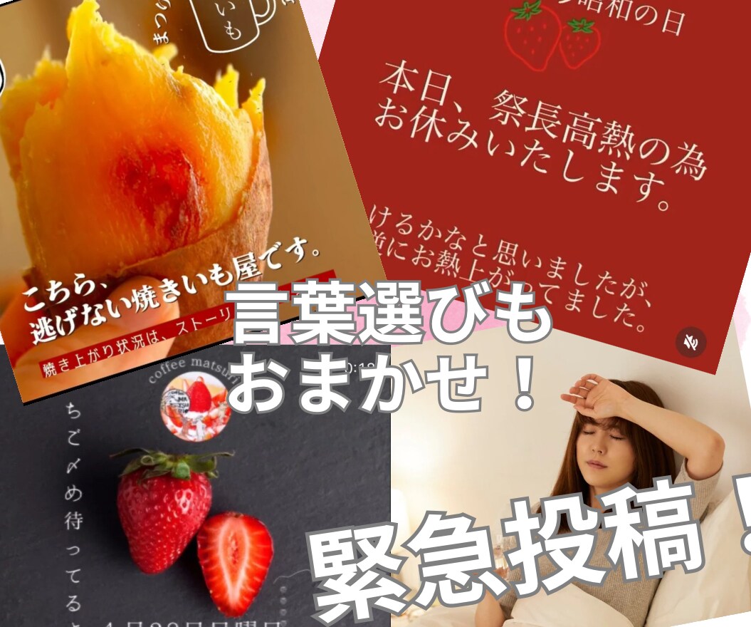 オーダーメイドで30日間まるっと運用代行いたします 写真や動画の素材が多い方向け！しっかり情報を伝える強力広報 イメージ4