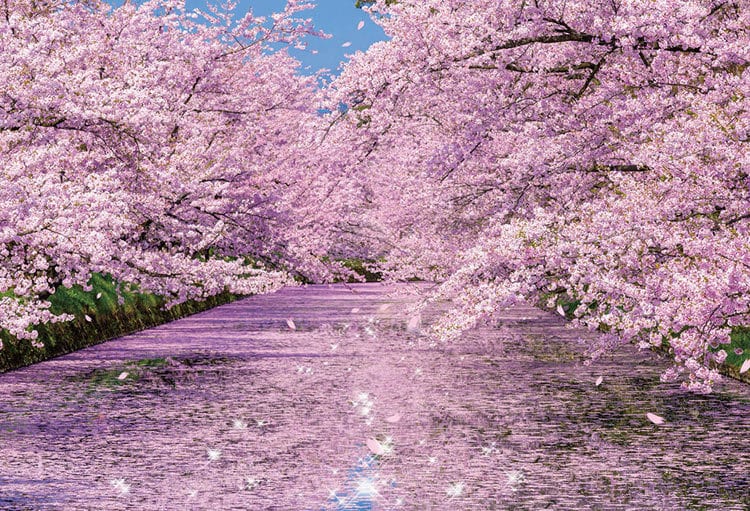 1ヶ月占い放題で、あなたの悩みにお答えします 占いっぱなしじゃなく、継続してサポートします。 イメージ1