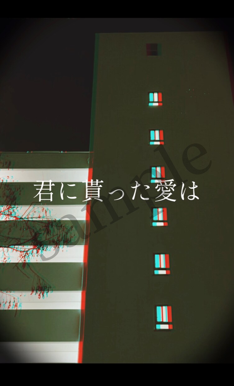 ショート動画等字幕・歌詞入れます YouTubeやTikTok動画に字幕を入れます。 イメージ3