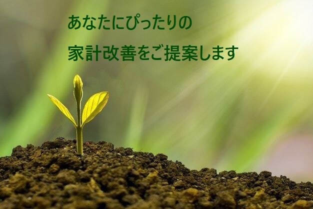家計改善！あなたに合わせた家計の予算をご提案します あなたの生活スタイルや家族構成に合わせたプランをご用意します イメージ1