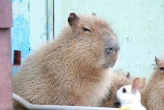 名前に関しての御質問を承ります 名前による影響全般。御悩みの完全解消完了まで イメージ1