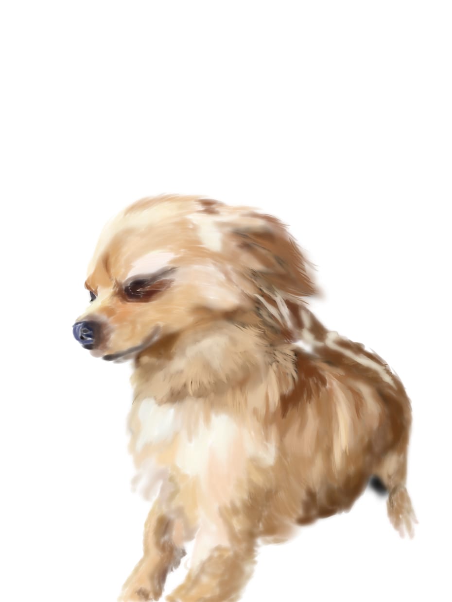 動物のイラストをお描きます 【即日対応】温かみある動物の絵をお描きします。 イメージ3