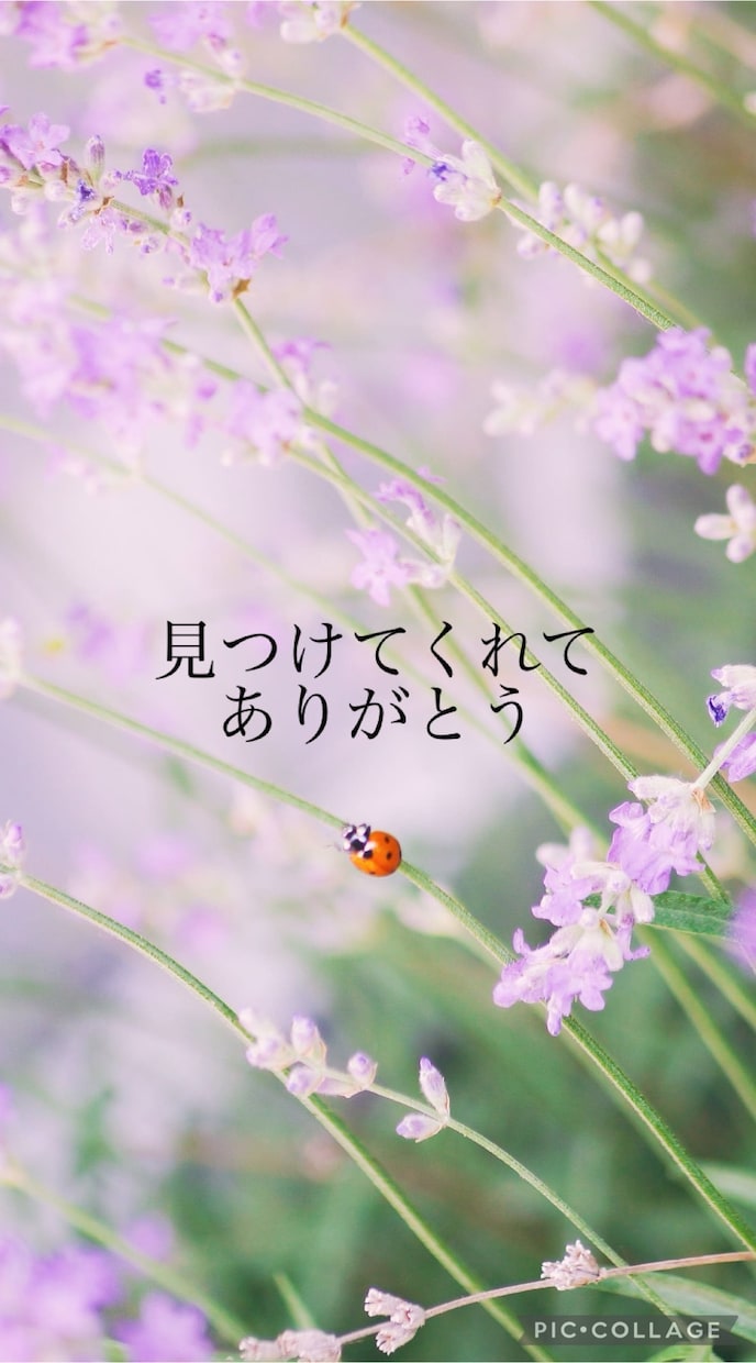 男性限定★現役看護師がお話聞きます ただ話を聞いてほしいとき、私がここにいます。 イメージ2