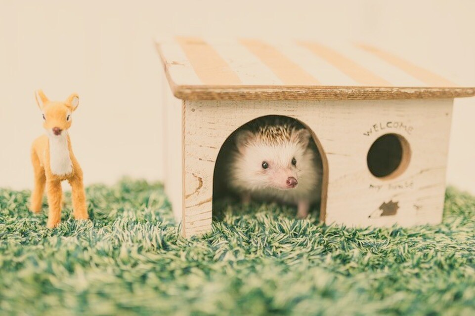 あなたのお話を聞きます 愚痴でも嬉しいことでも何でも聞かせてください。 イメージ1