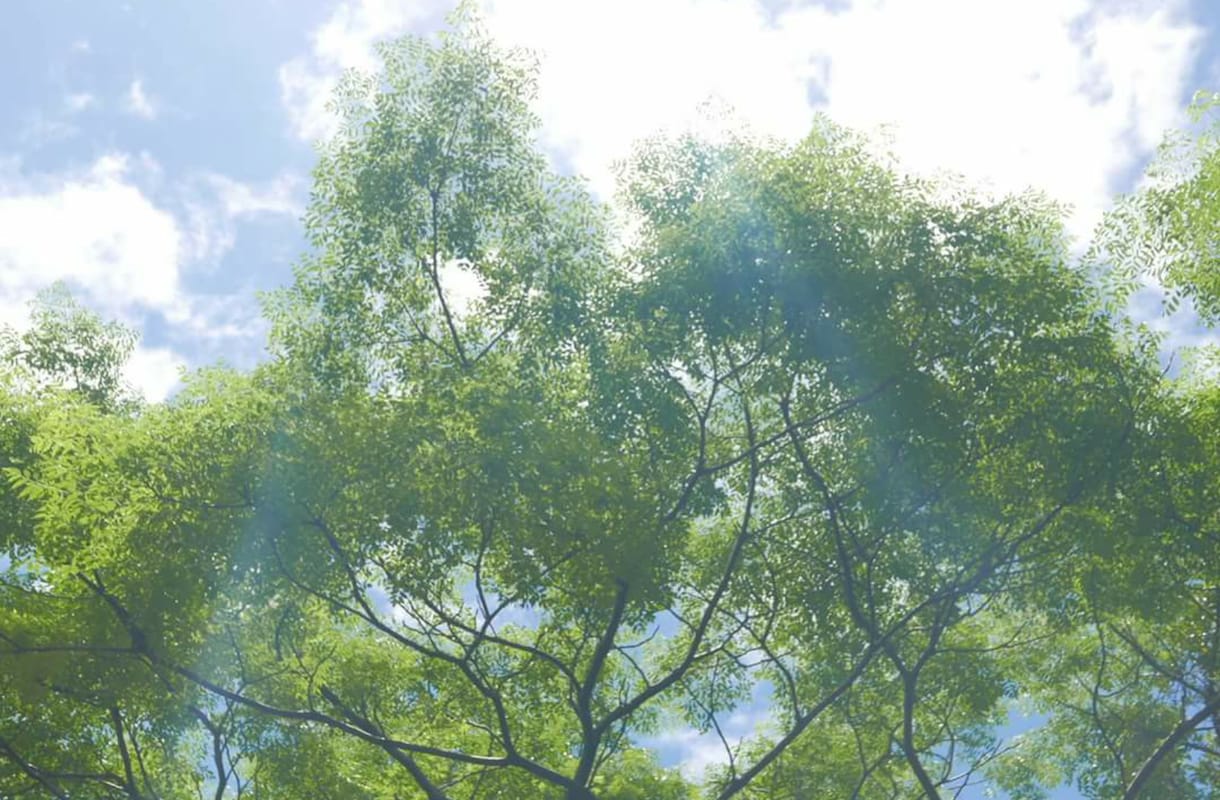 貴方の人生を転換させて真の目覚めを促します 目覚めて人生をより軽やかに穏やかに豊かにしていきたい方へ イメージ3