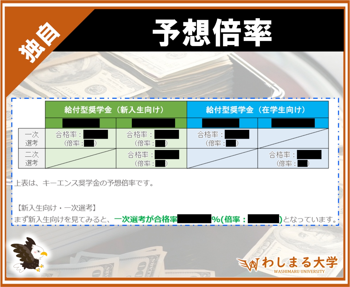 キーエンス奨学金の合格小論文・調査倍率を教えます 合格者多数！大人気 民間給付奨学金の攻略ノウハウを徹底解説！ イメージ4