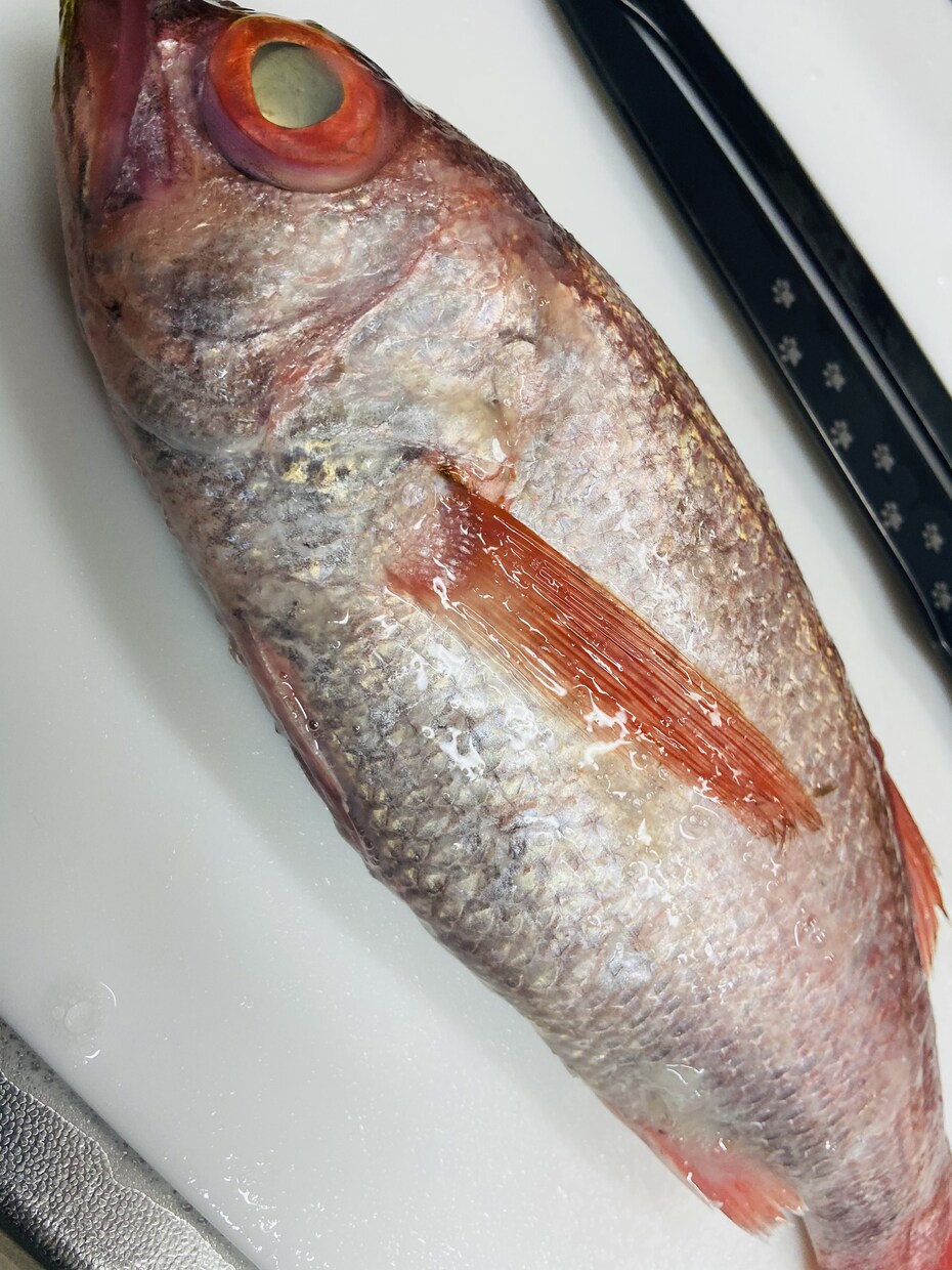 魚を上手に捌けるようになりたい方にご教授します リアルタイムでのレッスンになるのでその都度ご質問にお答え可能 イメージ4