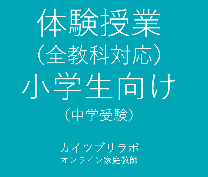 体験授業　小学生向け授業を行います 初めての方は、こちらで授業を体験してみてください。 イメージ1