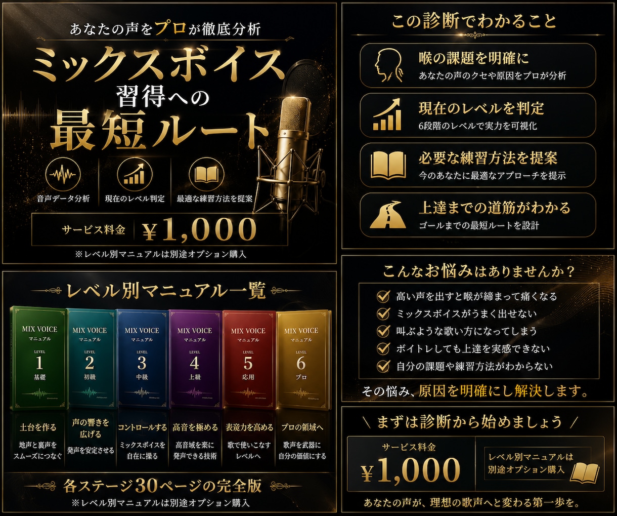 発声特訓！読んで実践！ミックスボイス習得させます プロがミックスボイスを習得に必要な知識を解説した資料を提案！ イメージ3