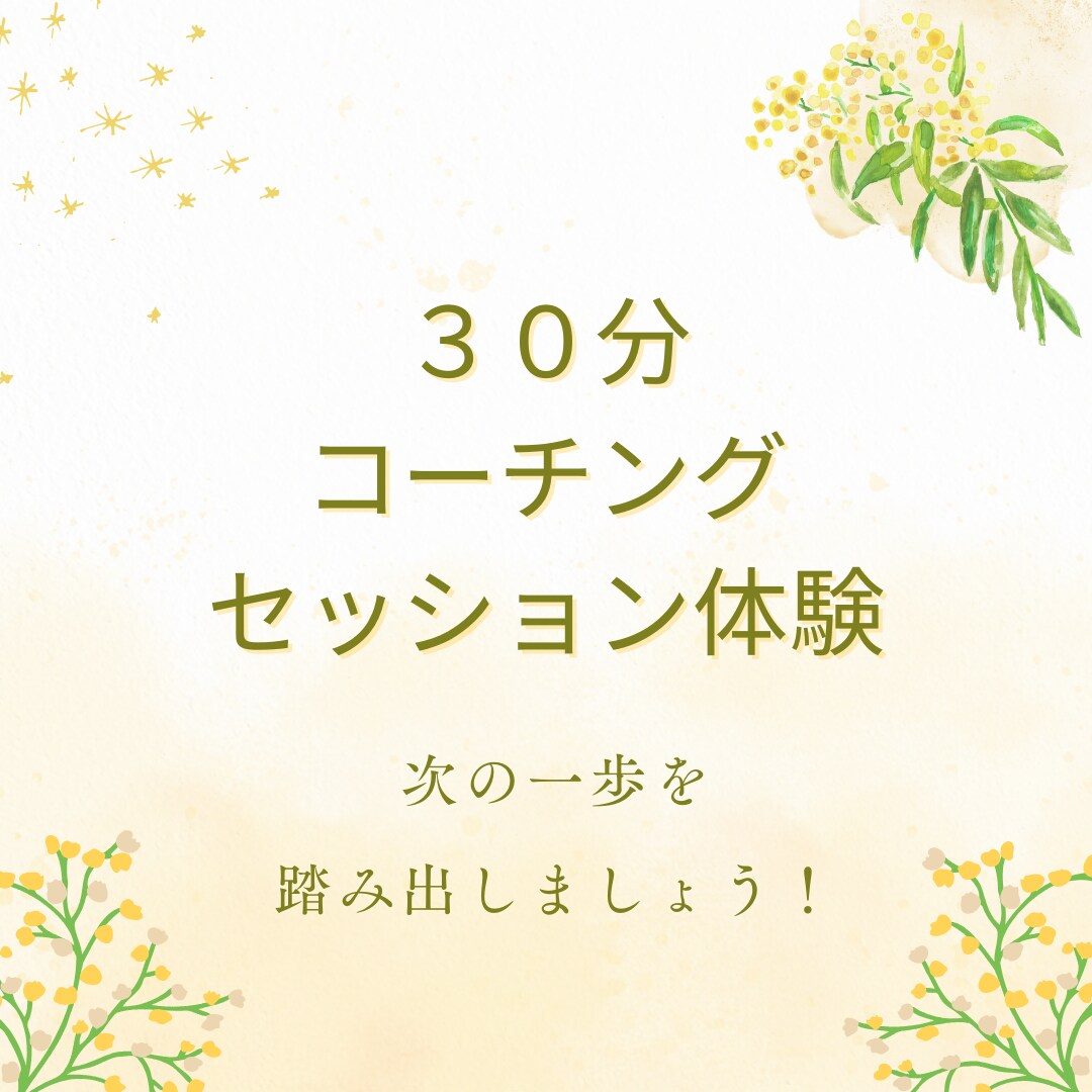 ３０分間コーチングセッション（体験）を行います 達成したいけど不安の一歩を踏み出せるようにします。 イメージ1