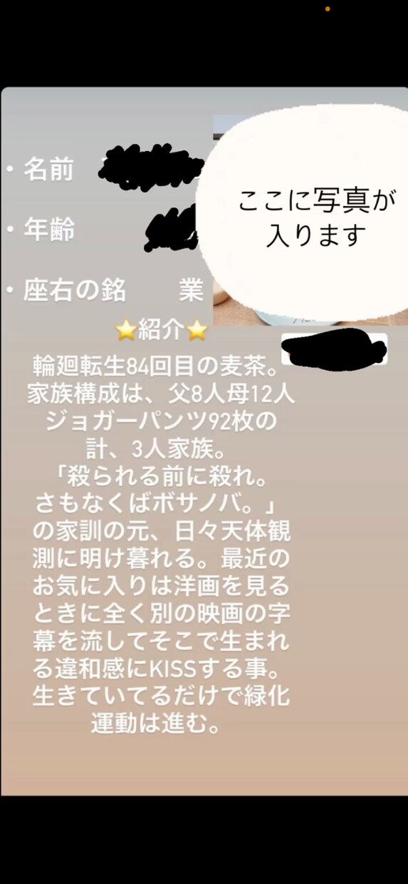 笑える自己紹介作ります 誰も理解できない独断と偏見の笑える自己紹介作ります。 イメージ3