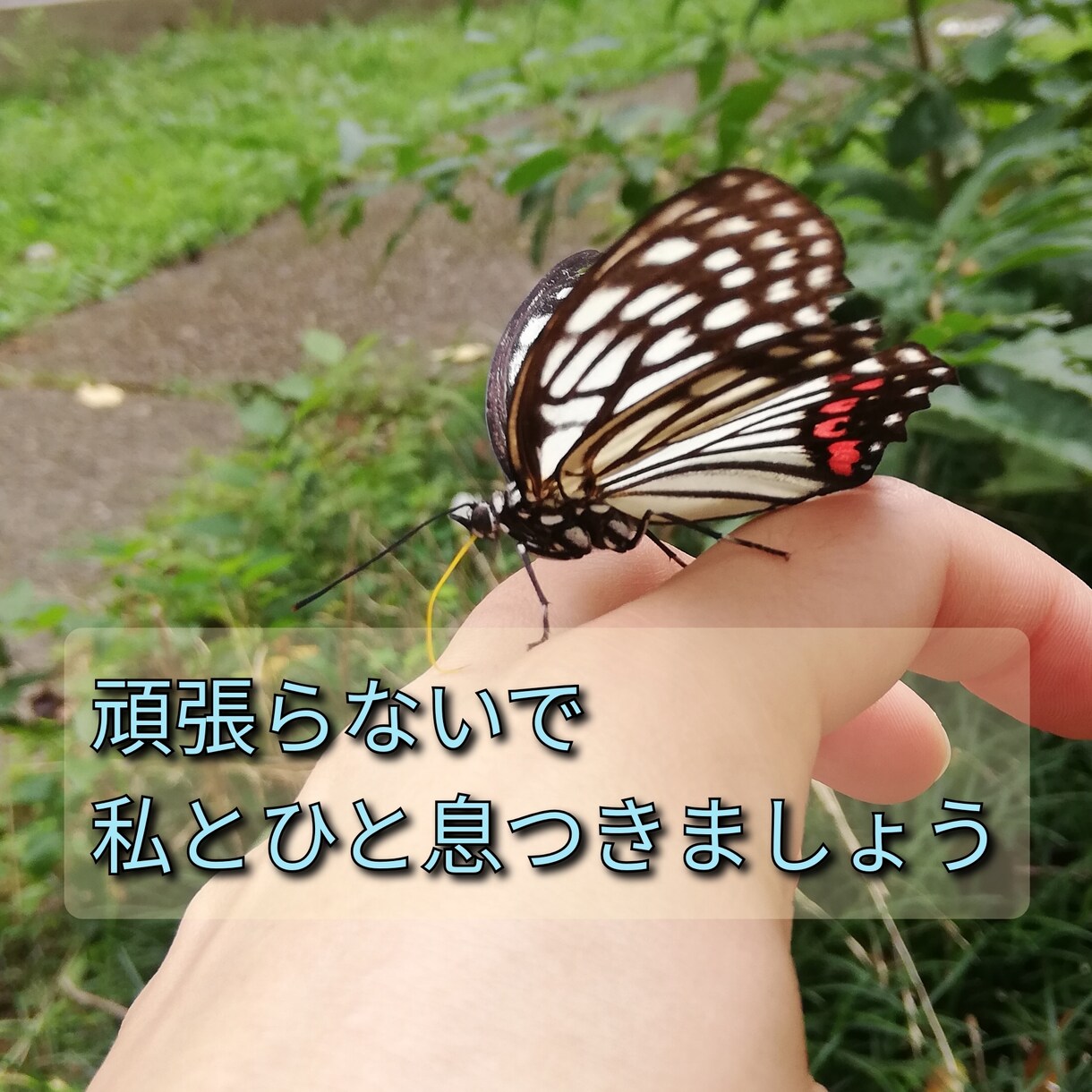 あなた、頑張り過ぎ屋さんになってます 頑張りのプロではなく、頑張り過ぎない自分になりましょうね。 イメージ2