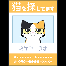 ペット探し占いいたします いなくなったあなたのペットの行方を占いで探していきます イメージ1