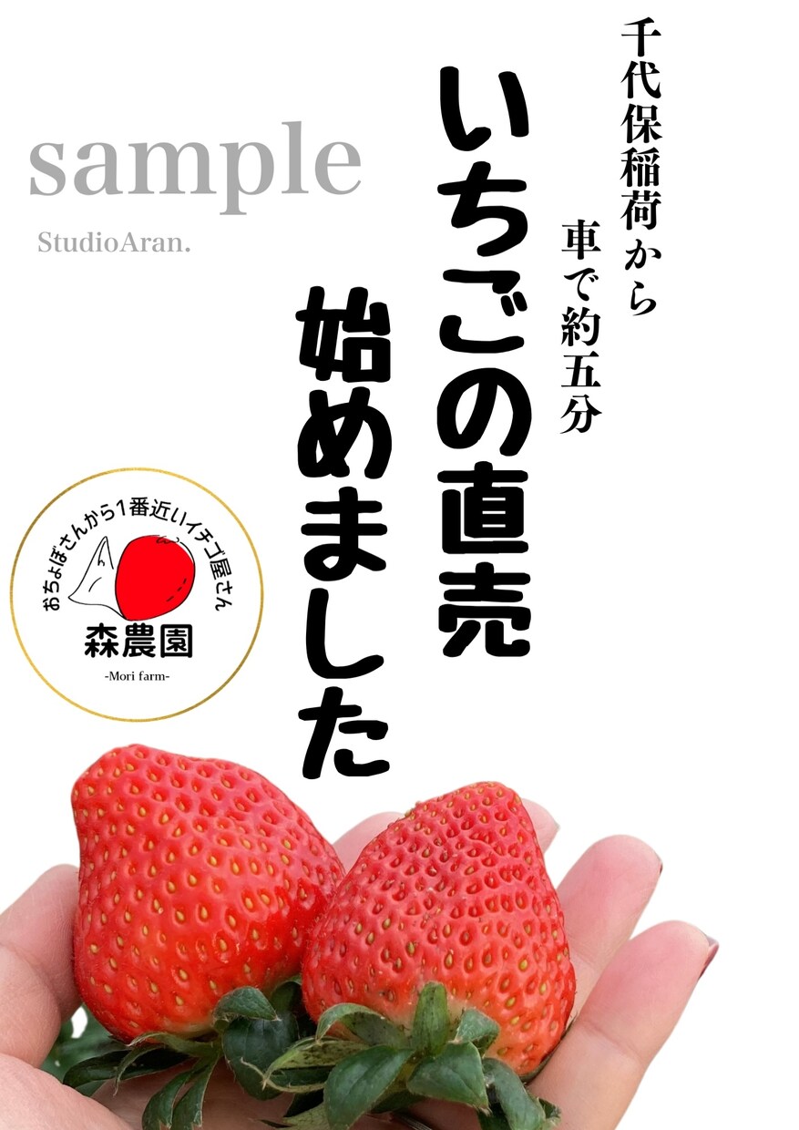 農家さん･個人販売店向け！チラシやPOPつくります 手に取ってもらえる、季節等にも合わせたチラシお作りします！ イメージ2