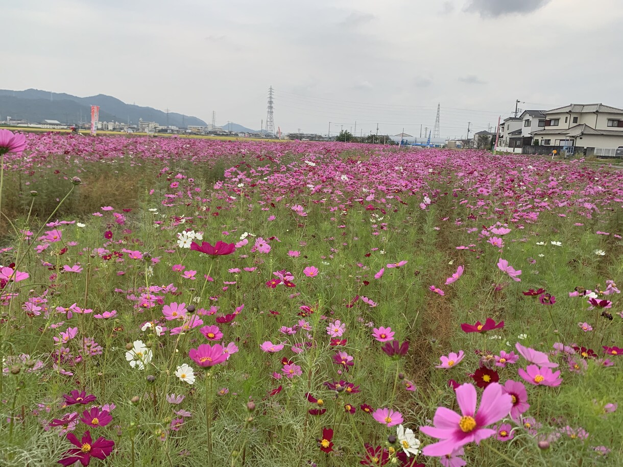 お話し倶楽部はじめます 何気ないことを話したい、聞いてもらいたい人に向けてのサービス イメージ1