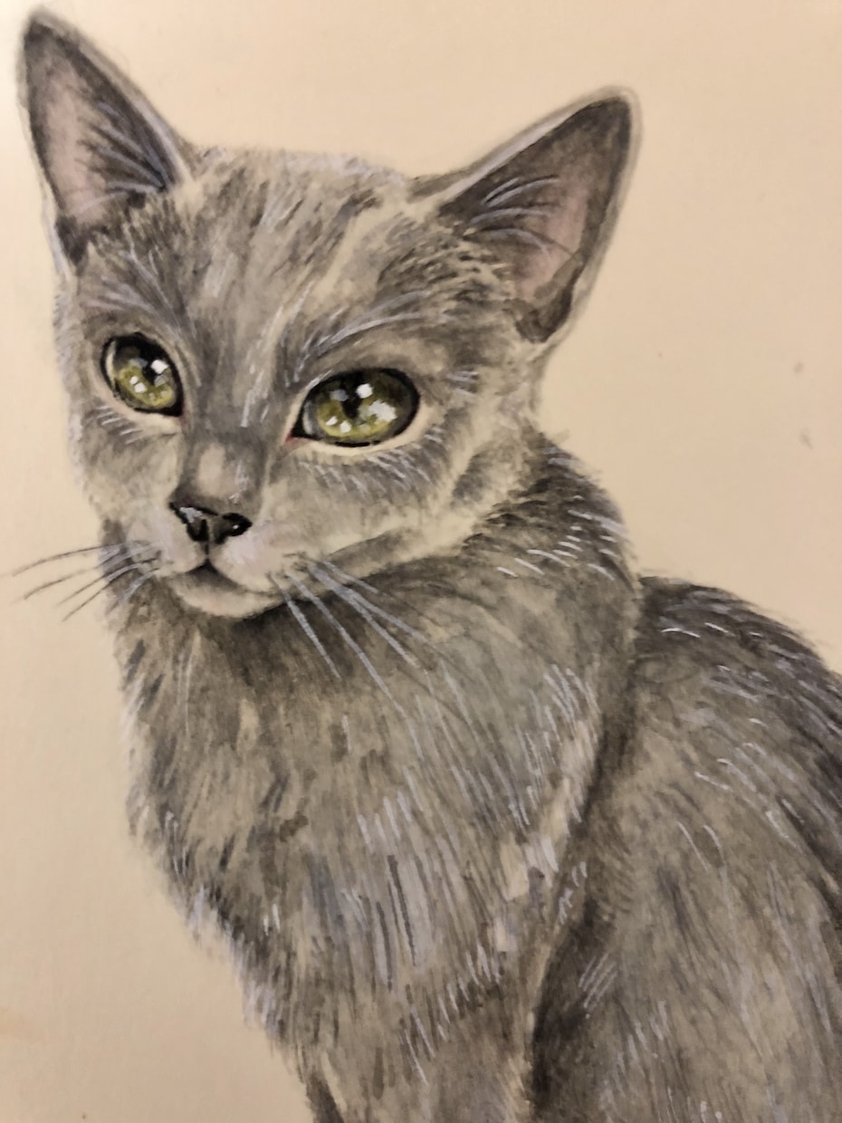 ワンちゃん猫ちゃんを透明水彩と色鉛筆で描きます ペットとの思い出をイラストに残しませんか イメージ2