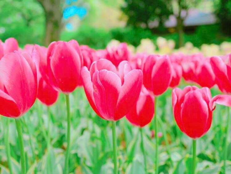 ごめんなさい！ます 現在はやっておりません！誠に申し訳ない、、 イメージ1
