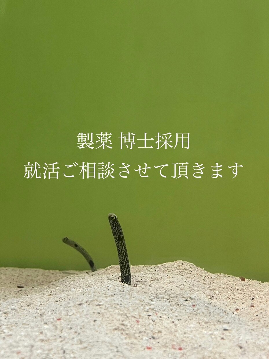 博士卒大手製薬研究職内定者が就活相談にのります 最新の博士就活事情わかります　バイオ系の製薬博士採用特化型 イメージ1