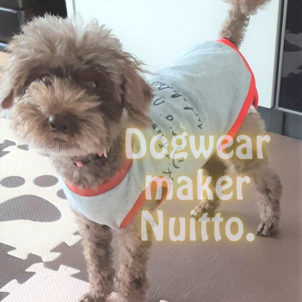 ハンドメイド犬服の縫製代行いたします 法人・企業・ブランド様向けミシンサポートサービスです イメージ10