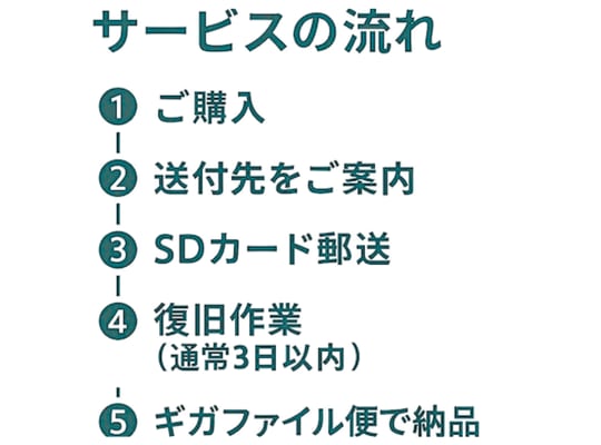 SDカードのデータを復旧します データ復旧サービスを行います。 イメージ2