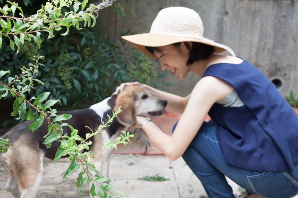 カナダ在住の日本人が0から英語を教えます 初心者さん大歓迎!〜カジュアル&リラックスレッスン〜 イメージ2