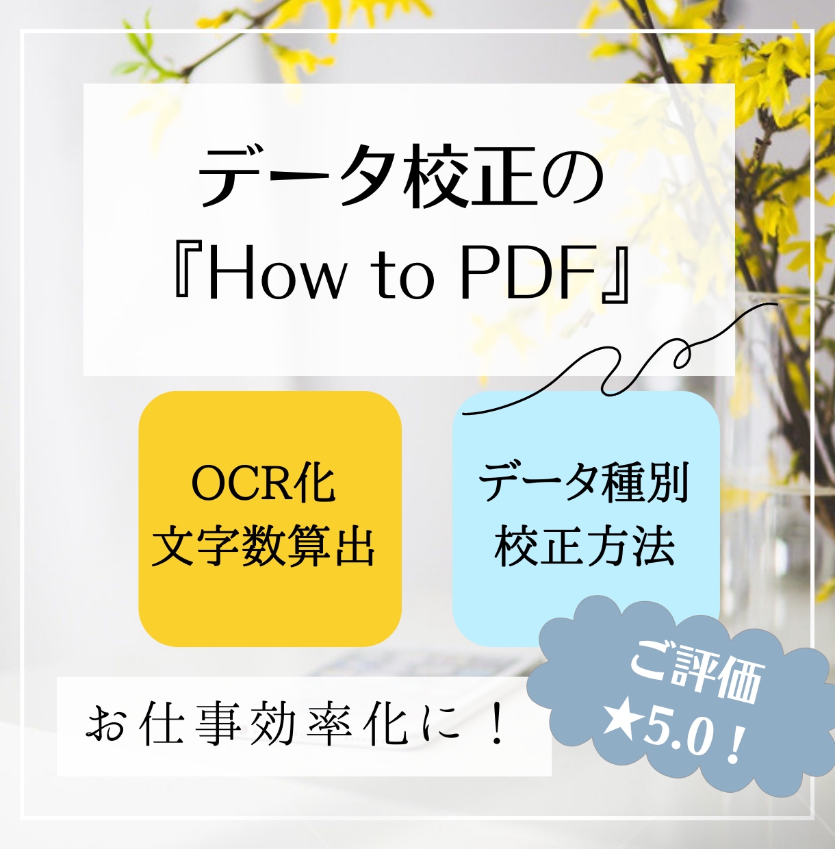 校正者・ライター向け◎データ校正をPDFで教えます 画像入りでわかりやすい資料へ更新！　プロ校正者を目指す方へ イメージ1
