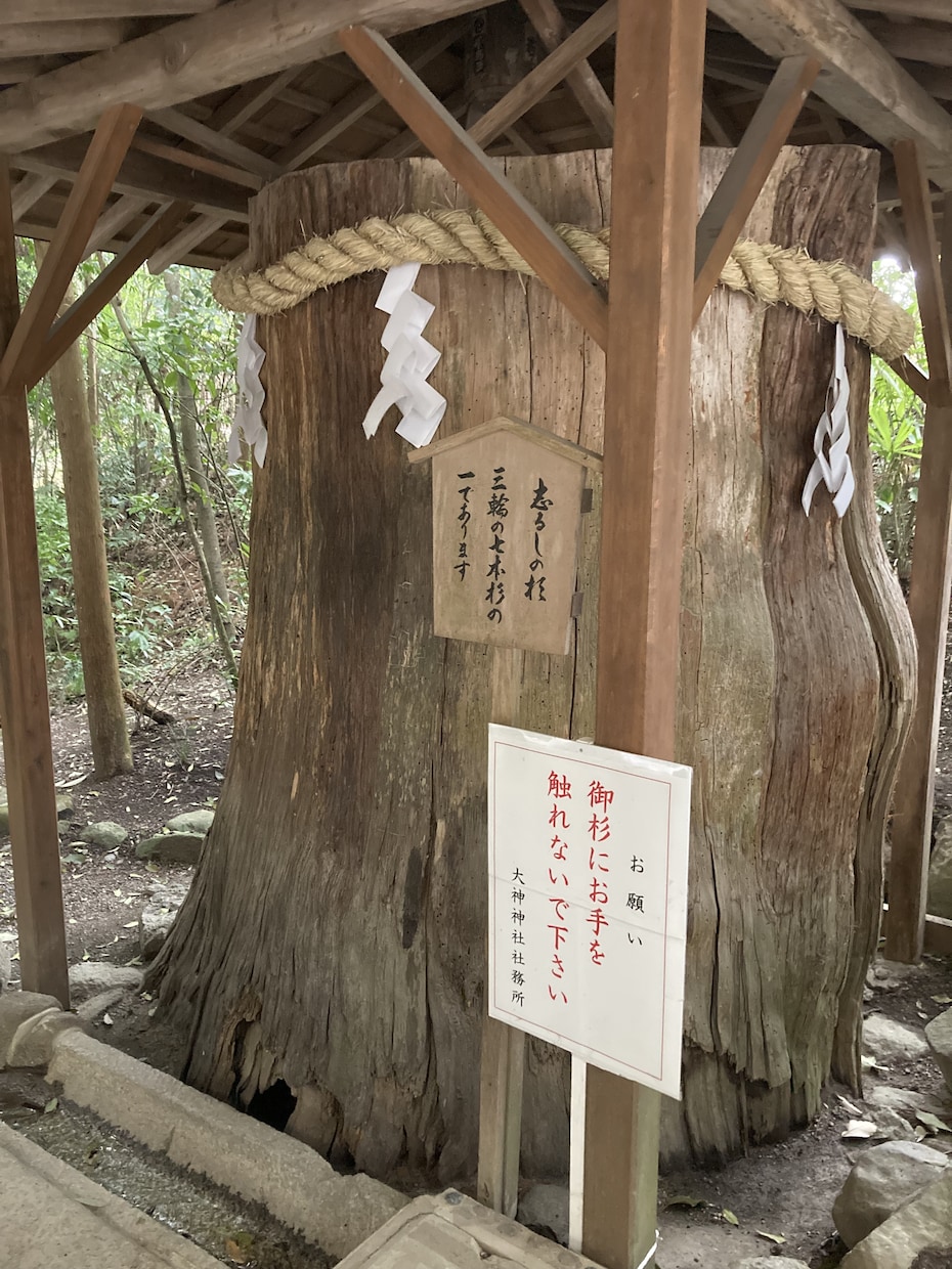 この仕事向いてる？あなたの本当の適職・天職占います 自分でも気づいていない強み・眠っている才能を発掘します イメージ6