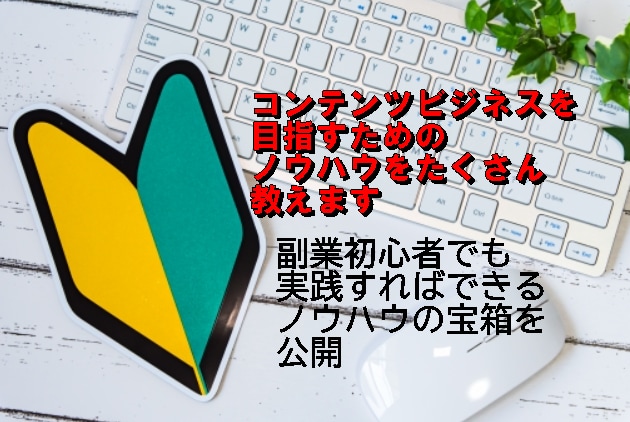 初心者でも実践すれば成果が出るノウハウを公開します 最終的にコンテンツビジネスを目指す画期的な解説書 イメージ3