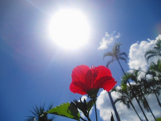 沖縄人の僕が沖縄の太陽のように暖かく励まします なんくるないさ〜〜、『出逢いは一瞬、出逢えば一生』 イメージ3