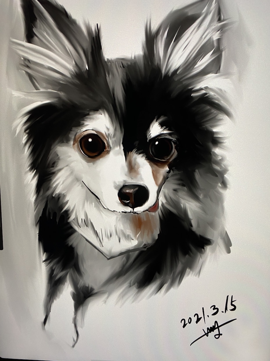 リアルなペットイラスト描きます 犬猫から爬虫類、猛禽類まで何でも！ イメージ2