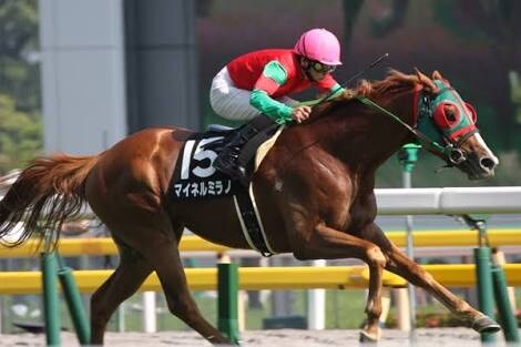 今週の競馬の軸馬を決めよう！ イメージ1