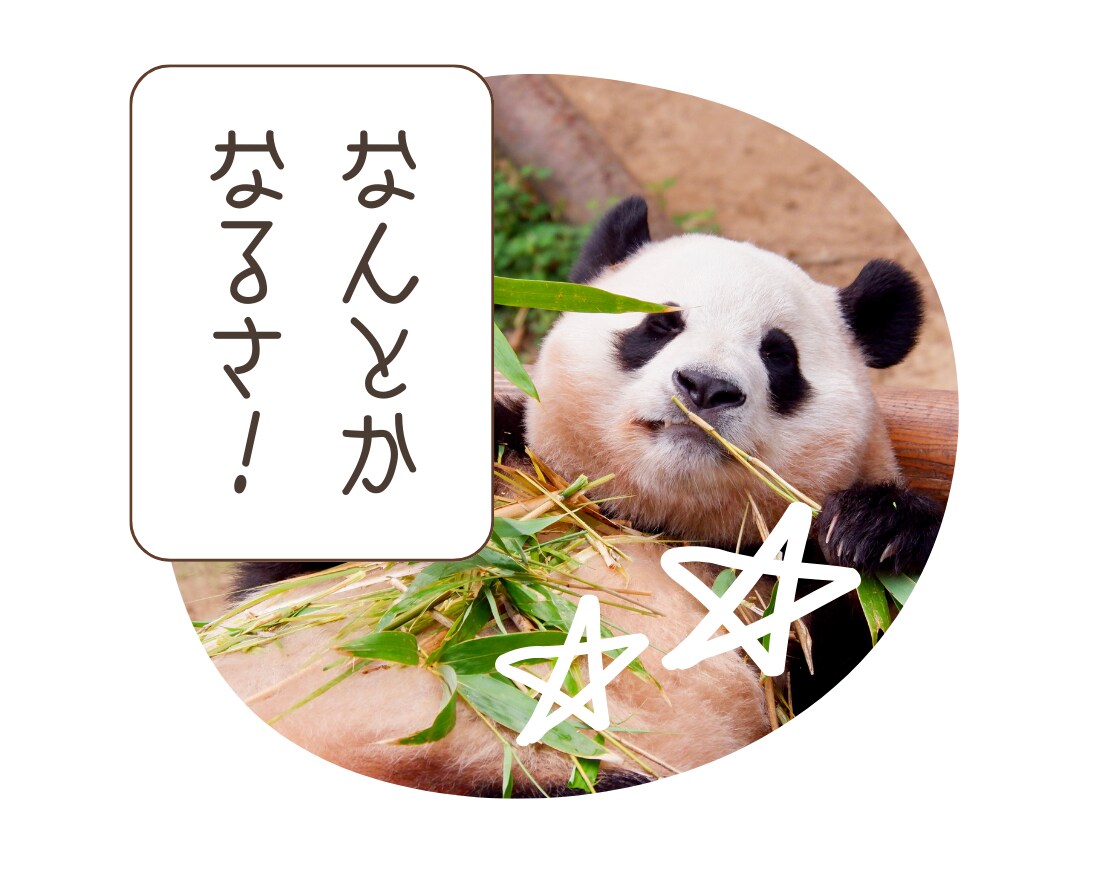 恋愛·不倫·悩み·アナタの気持ちに寄り添います 友達·恋人·妻✿今日はどんなかおりとお話しましょーか? イメージ6