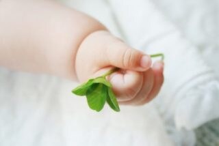 子育て応援！心理カウンセリングいたします ＊イライラしないママになるために＊ イメージ1