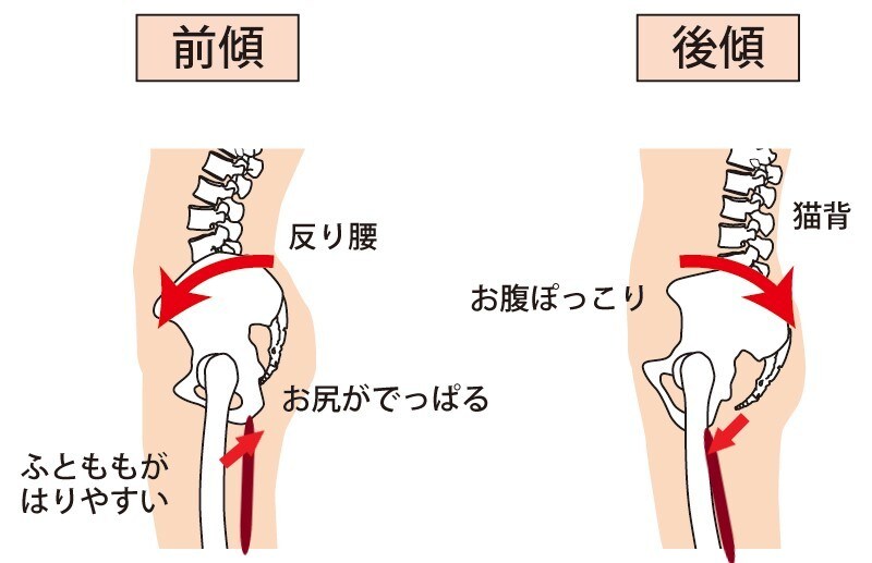 理学療法士の学生向けレポートの書き方相談にのります 臨床実習や授業でのレポート作成の相談相手になります。 イメージ1