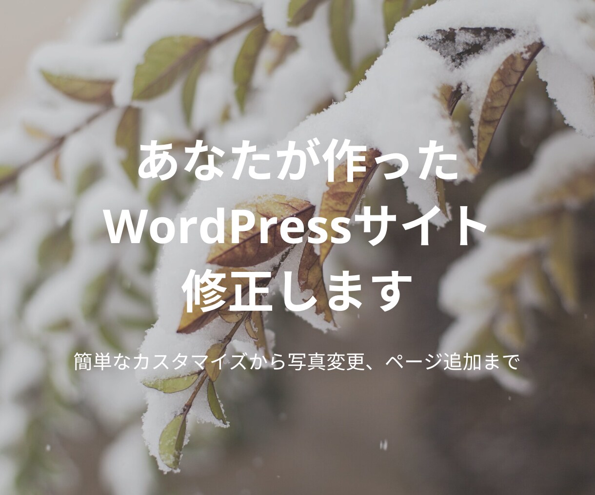 WordPressサイトの修正をします 簡単なカスタマイズから写真変更まで承ります！ イメージ1