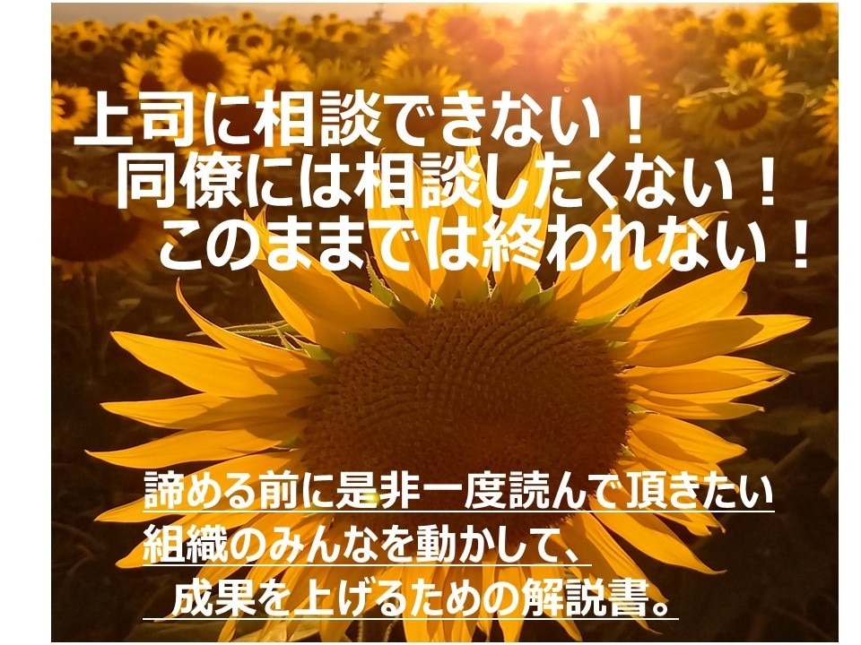 会社幹部、管理職が成功するためのヒントを共有します 鼓舞奮闘するリーダーのためのヒント、腑に落ちる解説 イメージ1