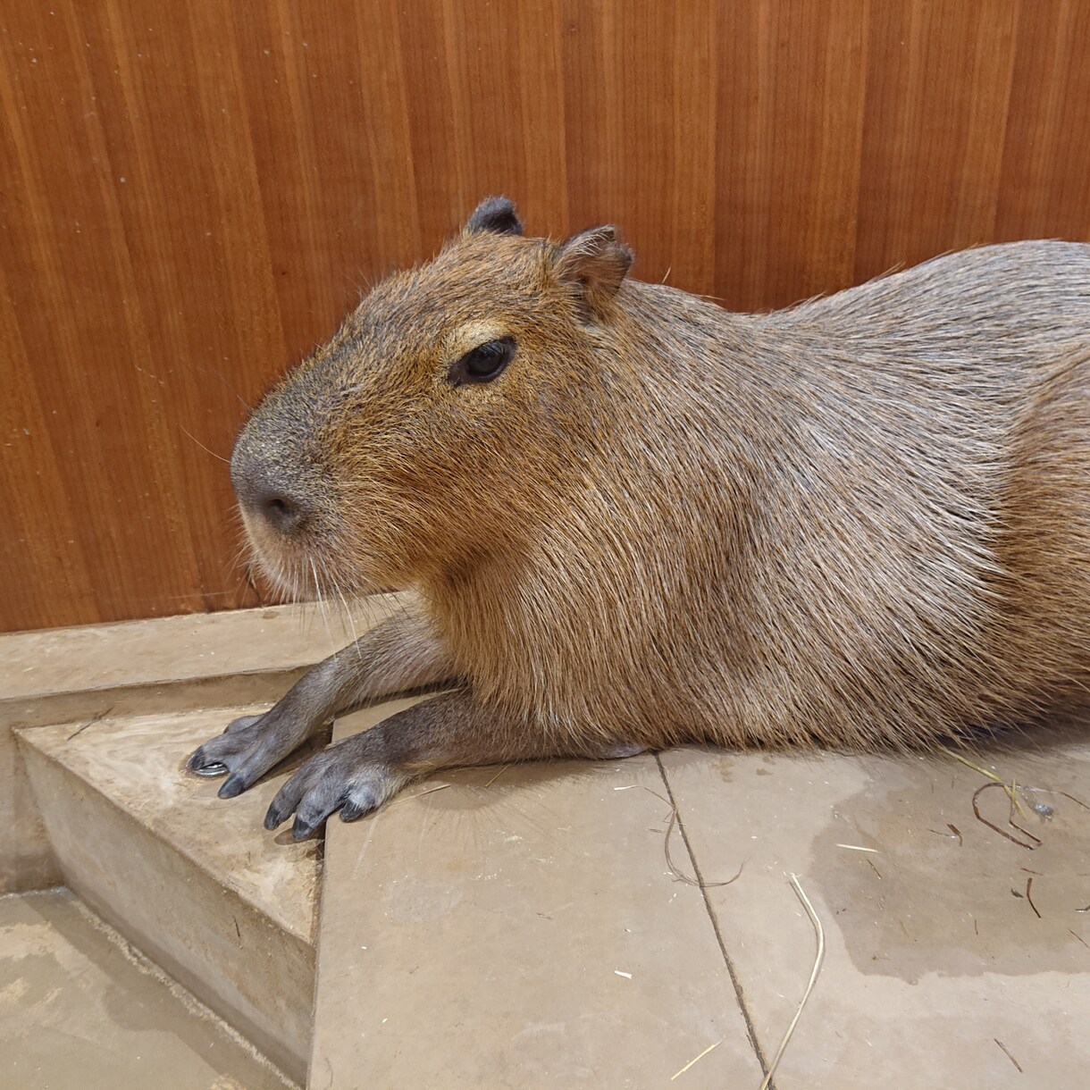 なんでも話し聞きます 誰にも言えないことを胸に秘めてて苦しい時に イメージ1