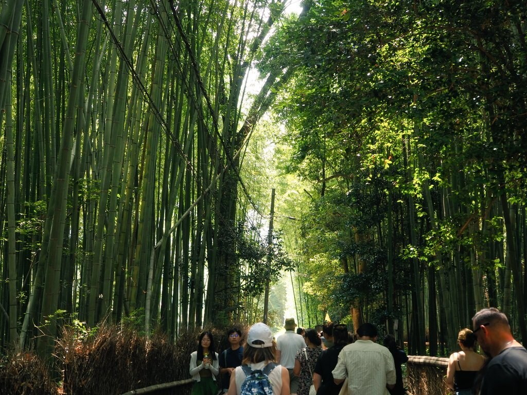 ご旅行時の宿泊予約をお手伝いします ご予算、ご要望などを伺い、お得に宿泊予約できるようサポート♪ イメージ4