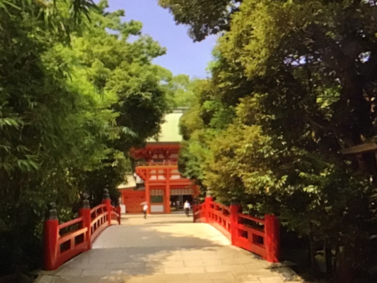 お氷川様 武蔵一宮氷川神社総本社代理参拝承ります 縁結び、勝ち運、災難除け、運気上昇  由緒あるパワースポット イメージ7