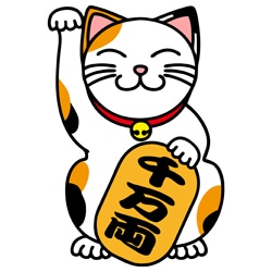 モニターサイトでの稼ぎ方教えます！ イメージ1