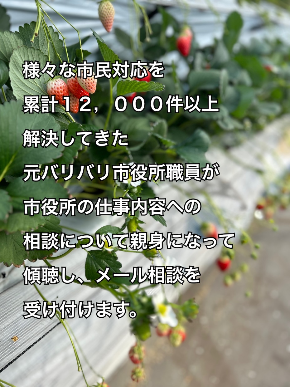 元市役所職員が市役所の仕事内容を答えます 市民対応累計12,000件以上元市役所職員が傾聴します。 イメージ1