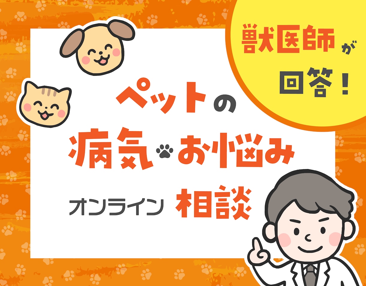 動物病院で聞けなかった疑問を獣医師が整理します チャットだからこそ気軽に相談できる イメージ1