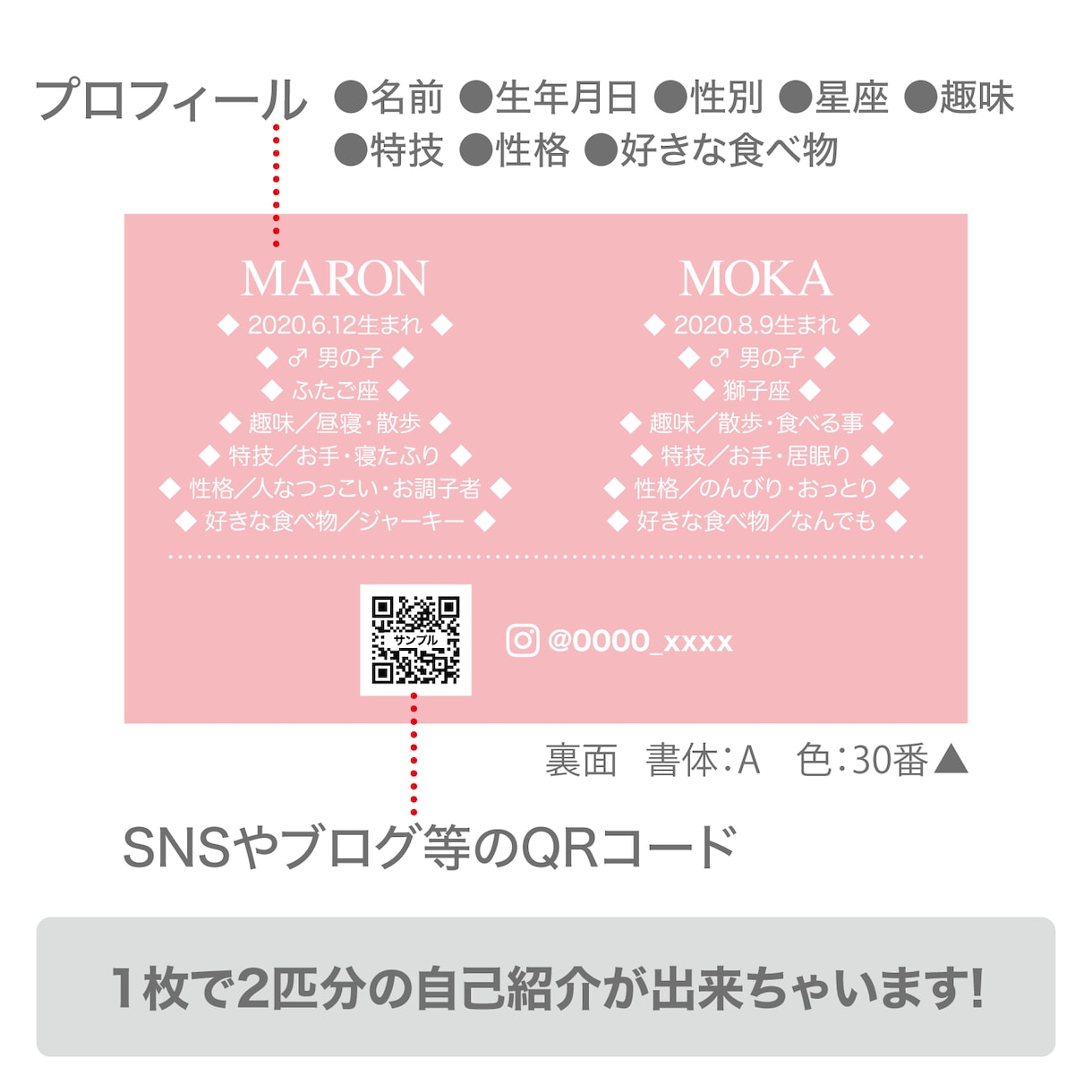 2匹用　シンプルデザイン　うちの子名刺お作りします 【両面印刷100枚】送料無料　セミオーダー　QRコード入り イメージ3