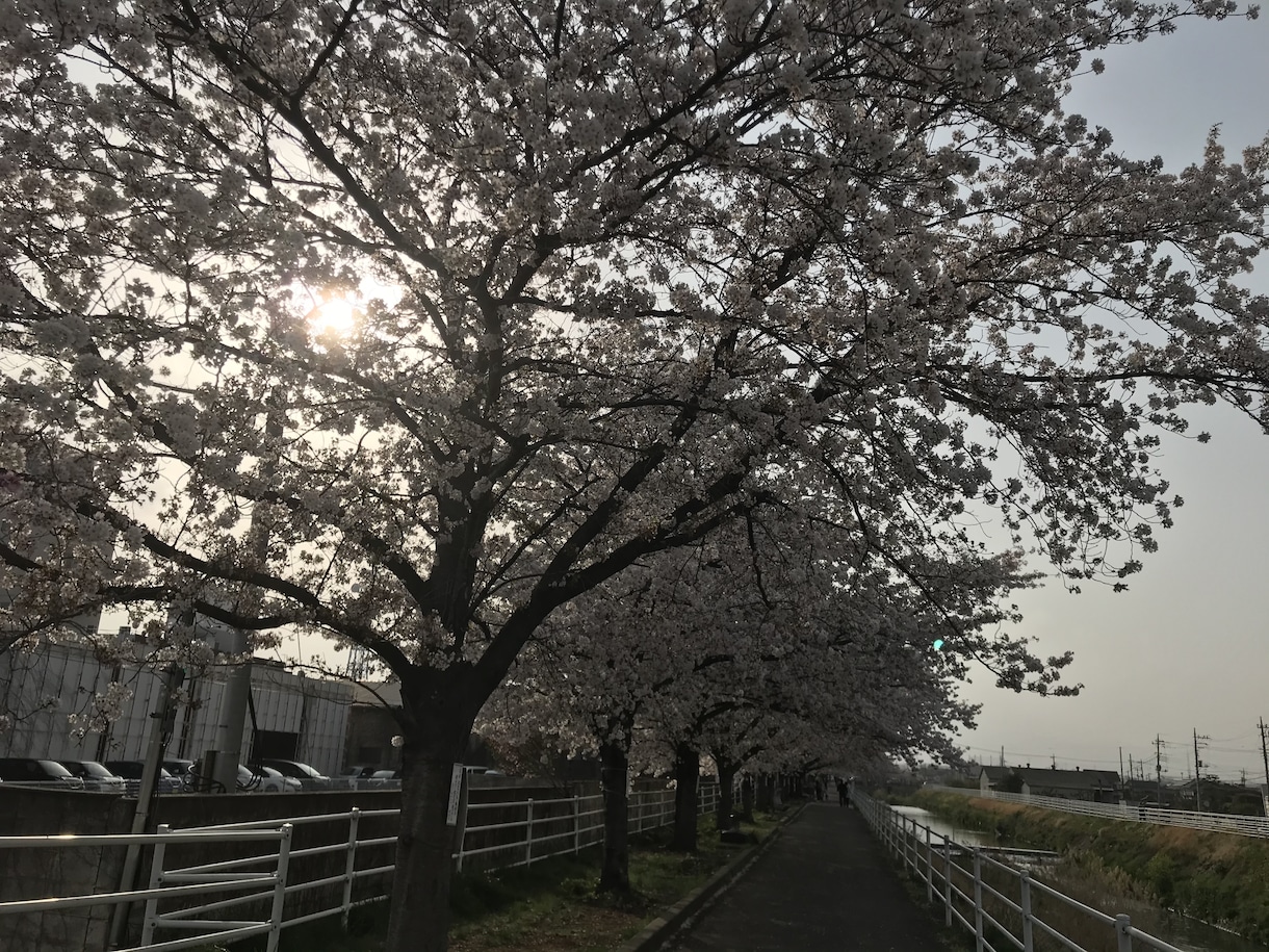 貴方の悩み事、特に精神科について、何でも聞きます 心を暗くしている問題を取り除きスッキリしましょう。 イメージ1