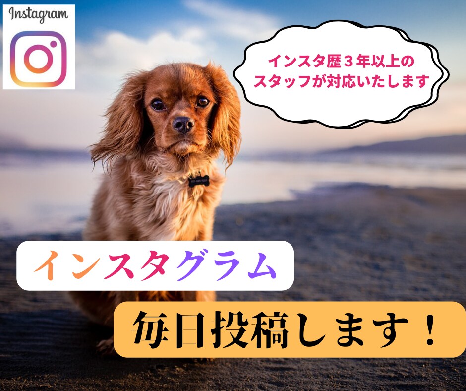 インスタグラムにて1日1投稿の運用代行します ＜instagram＞フォロワー増加の肝である投稿を代行 イメージ1