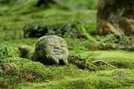 雑談/ 小言/ 小さな疑問/ 何でもお返事します ちょっとだけ… の何でも、お役に立ちます イメージ1