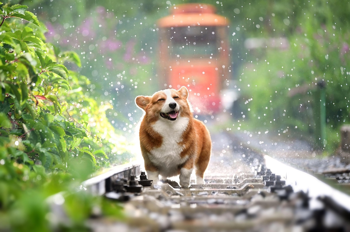 隙間時間を潰したい時お話し聴きます 私が寄り添って癒しお相手します、 イメージ7