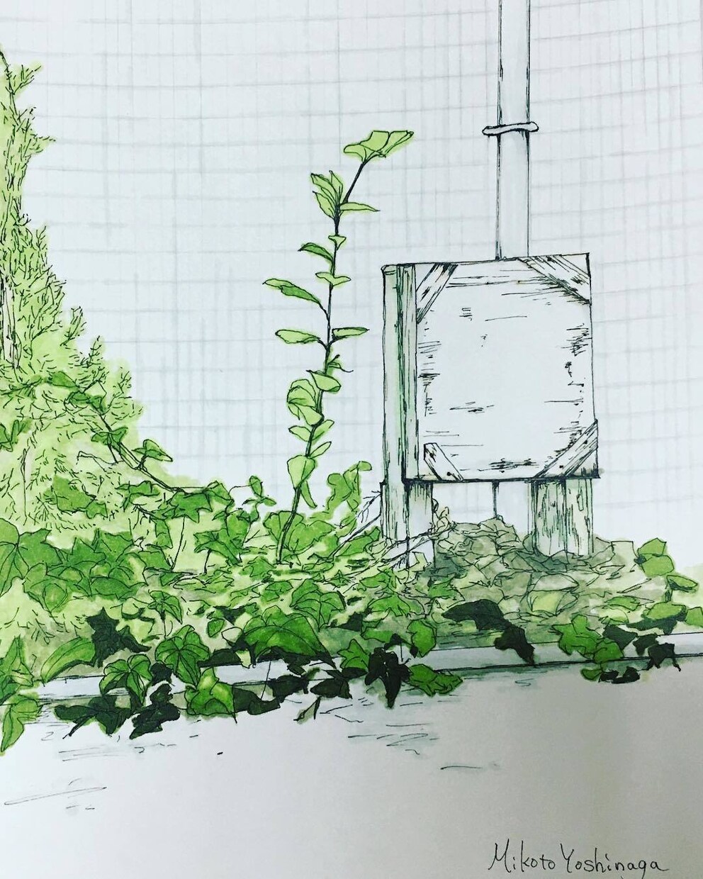 味のある植物のイラスト描きます 植物のある暮らしをまずは絵から始めませんか？ イメージ7
